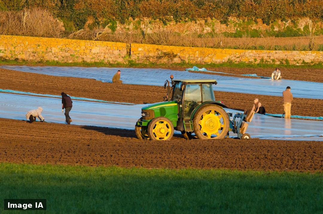 Selectra 2026: BNP Paribas, Crédit Agricole régional, Crédit Mutuel et CIC